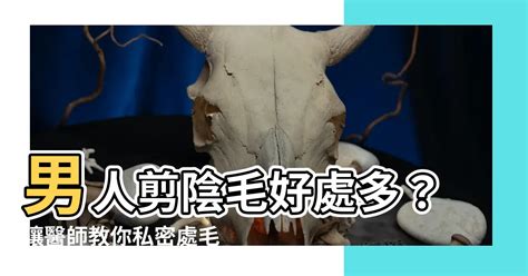 剪陰毛很癢|修剪陰毛7大須知好處＋4個脫陰毛步驟工具/形狀建議/。